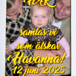 Studentplakat (baksida) med söt flicka i ettårsåldern som hålls av hennes stolta föräldrar. Texten lyder: Här samlas vi som älskar Havanna! 12 juni 2025